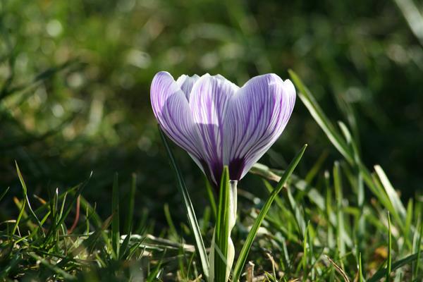 Ris og ros til billeder :)