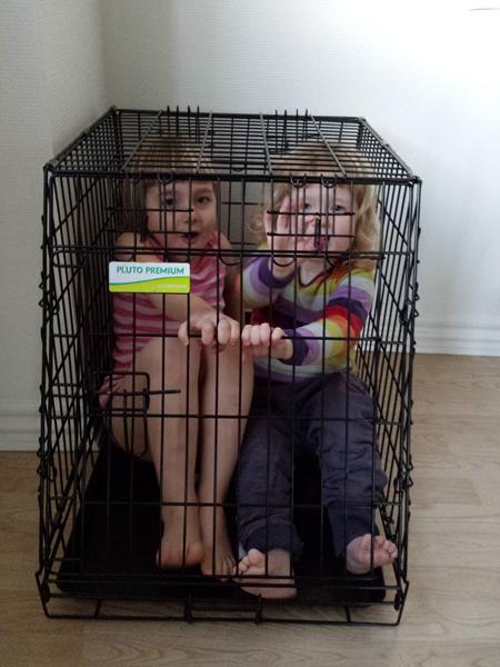 Børn som hunde ;-) ;-) ;-)