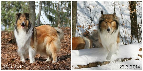 Sikke en forskel ;-)