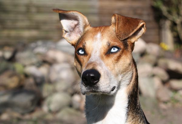 Hvad bruger man sådan en morgen på?