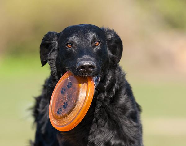Lidt Floyd billeder fra weekenden