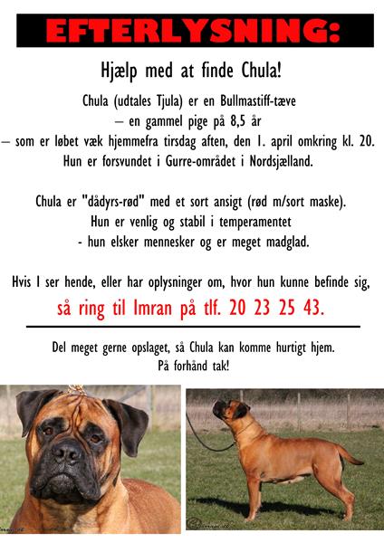 EFTERLYSNING - Bull Mastiff - Nordsj&#230;lland