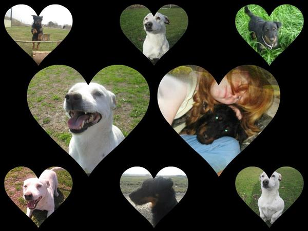 Enu en stjerne på himlen :(