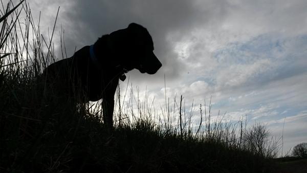 Sofus Træning :)