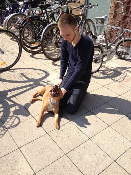 GRATIS TRÅD uge 16 og 17 :-)