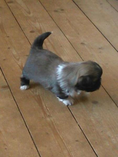 Så er den lange ventetid kommet :/