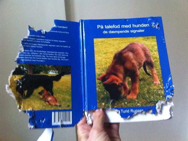 På talefod med din hund = syg hund