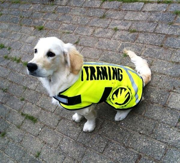 Jeg har været kreativ - "træningsvest"