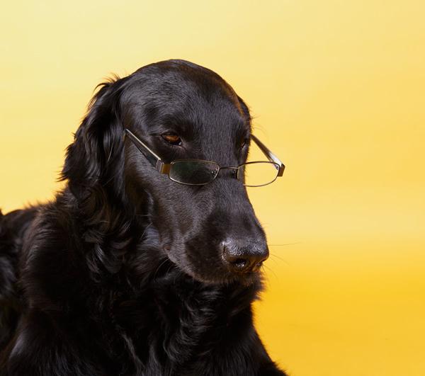 Brille abe 