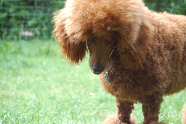 Kiksede billeder........