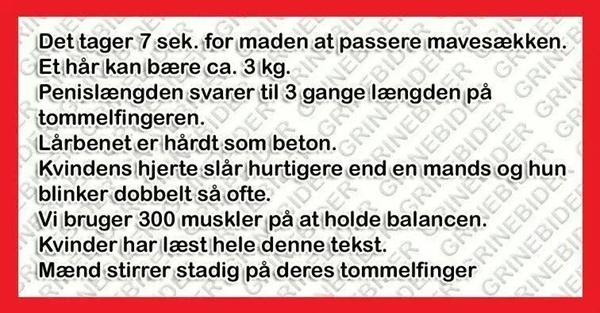 Ligegyldig viden :-)