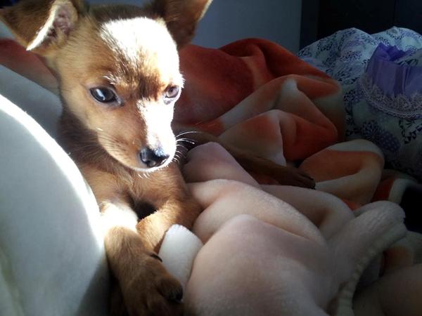 Alene hjemme lidt hjaelp tak :)