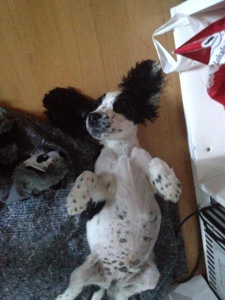 Hvad gør man i sådan en situation..