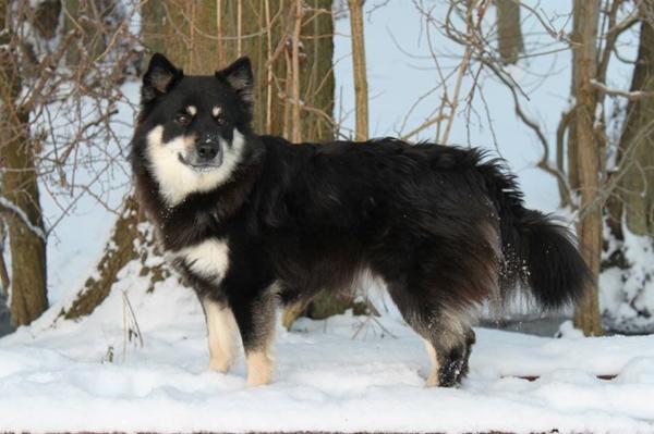 Efterlysning 8543 Hornslet