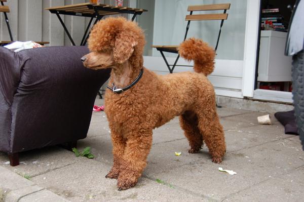 Teenager, teenager, teenager.