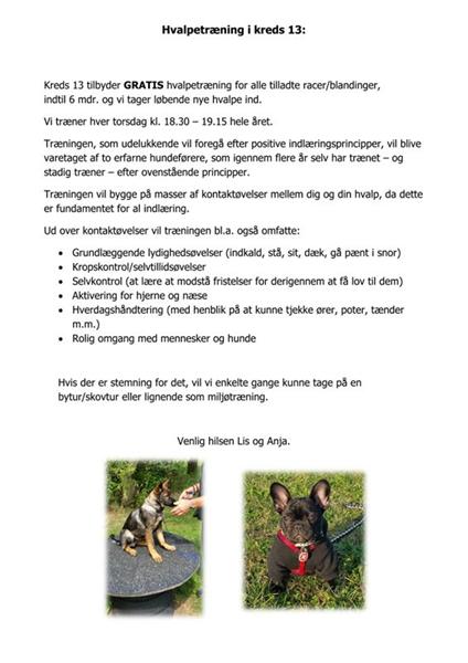 Gratis hvalpetræning i Kolding