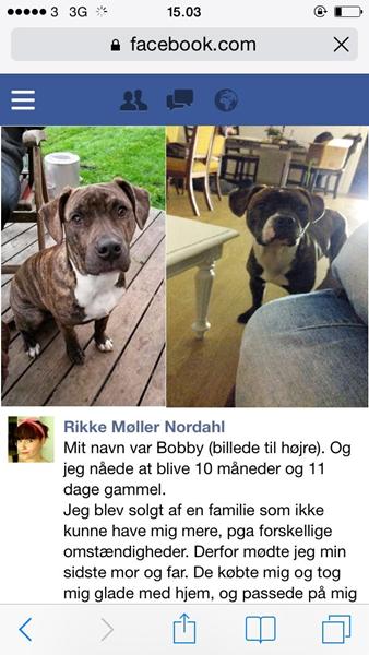 Sørgeligt indlæg fra FB 