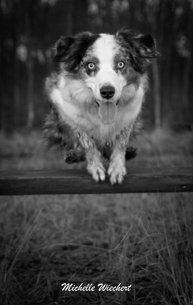 Eftermiddagstur med kamera