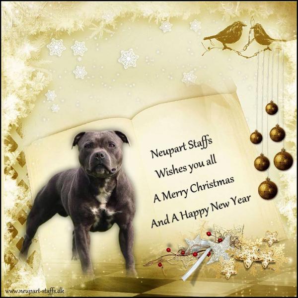 Jule hilsen til jer alle ;-)