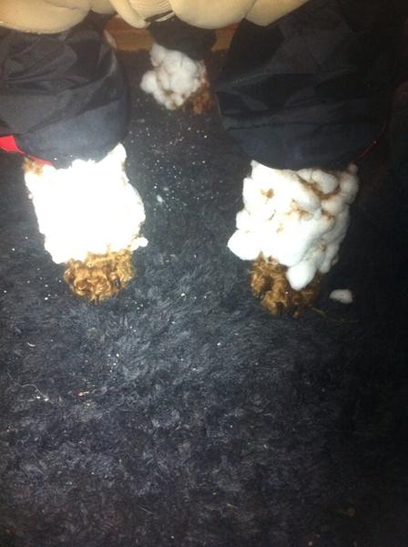 Vi elsker sne!... MEN!