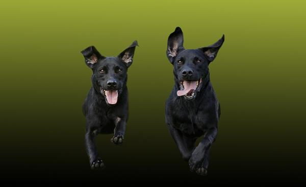 Et par billeder mere