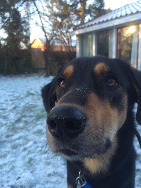 Kalm tabletter virketid