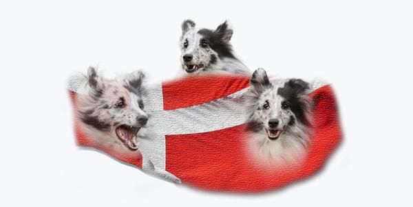 Et par billeder mere ;-)