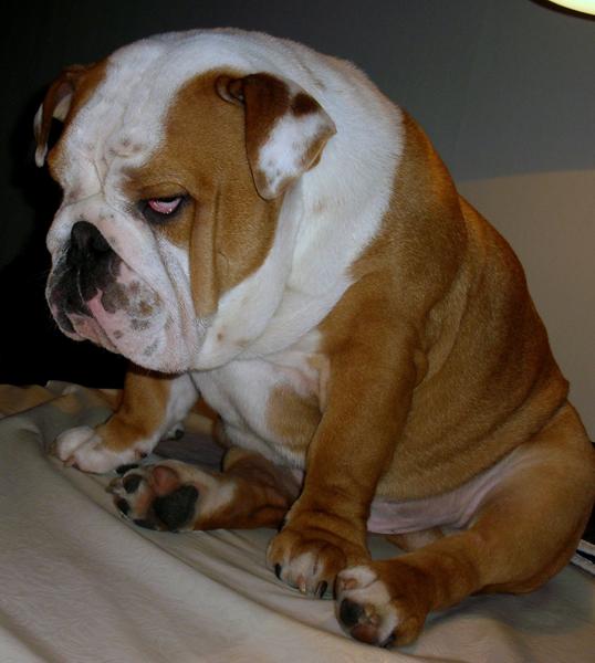 Han gør mig så glad