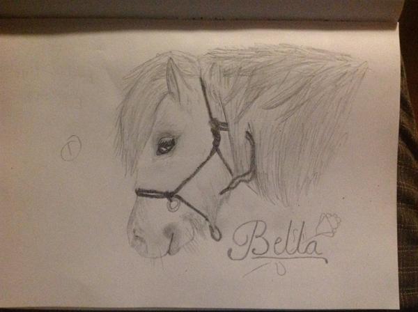 Tegning af min tidl. Pony