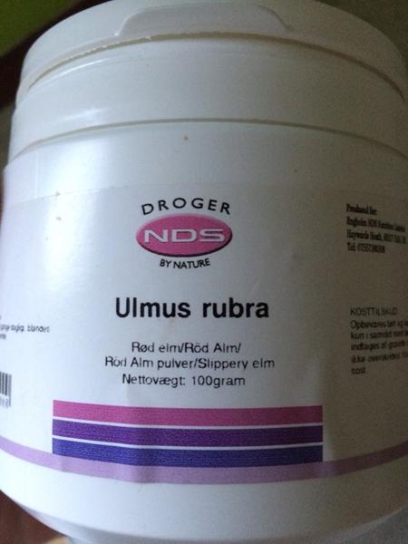 Ulmus Rubra/rød elm