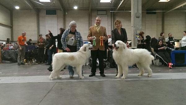 Fredericia udstillingen