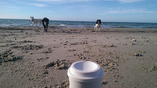 Hvad har i lavet idag? 