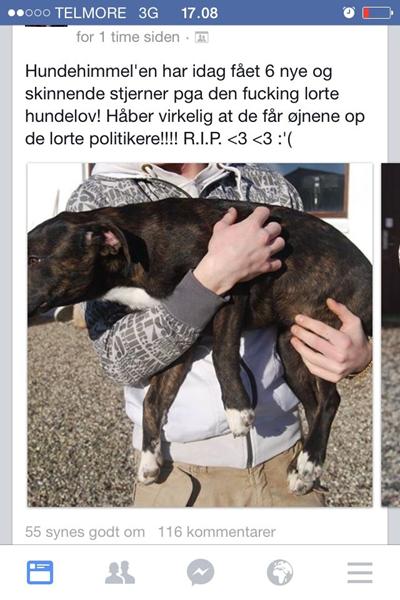 Stop avl af ulovlige hunde