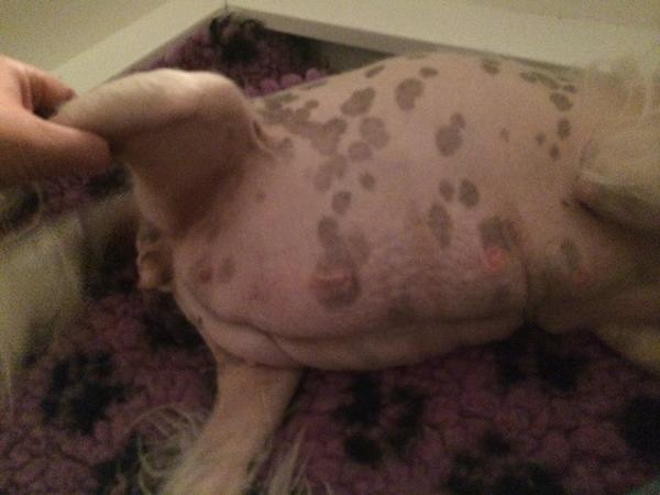 Skal vi have en fødsels tråd <3.