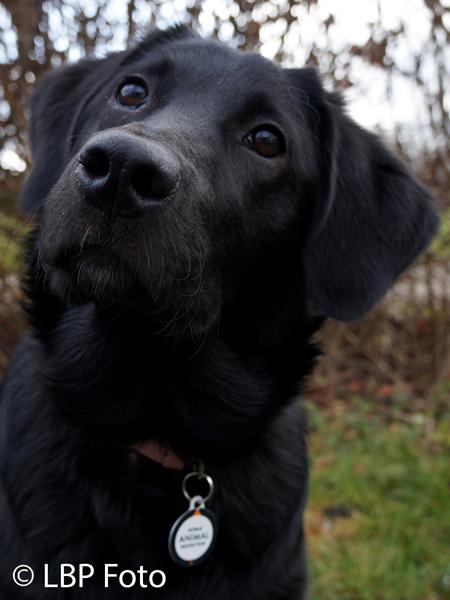 Er der mon nogen fra Aabenraa?