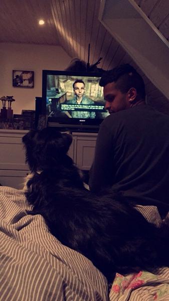 Hvilen race passer bedst???