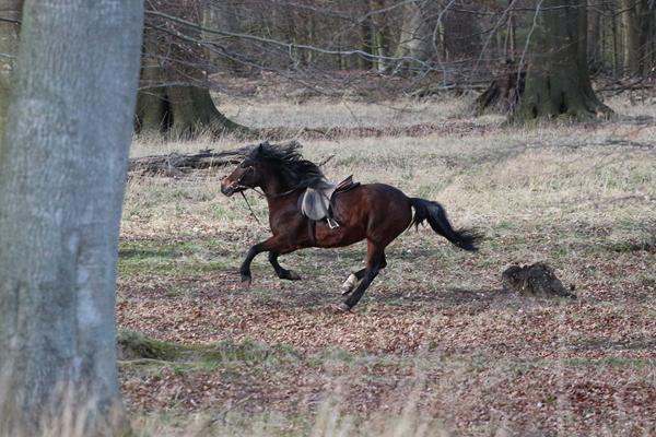 Hvad har i lavet i dag? 