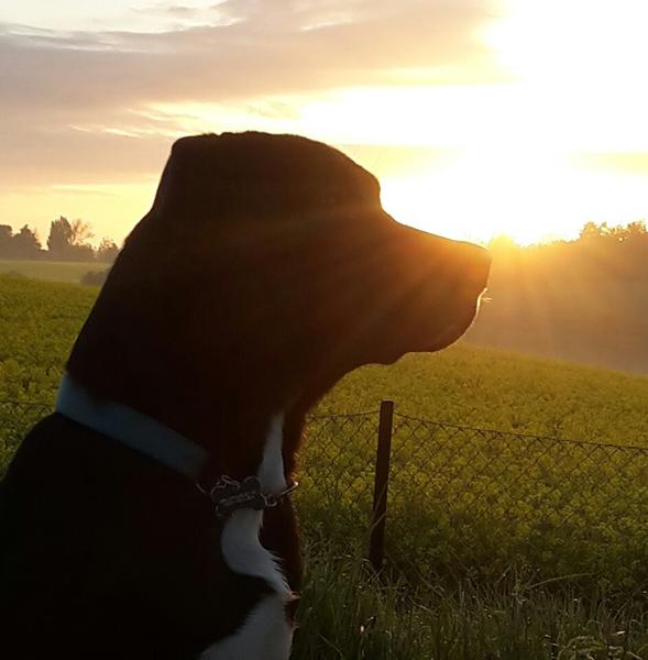 Godmorgen og god weekend 