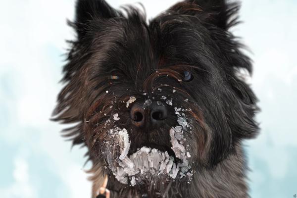 Jeg siger altid det her...