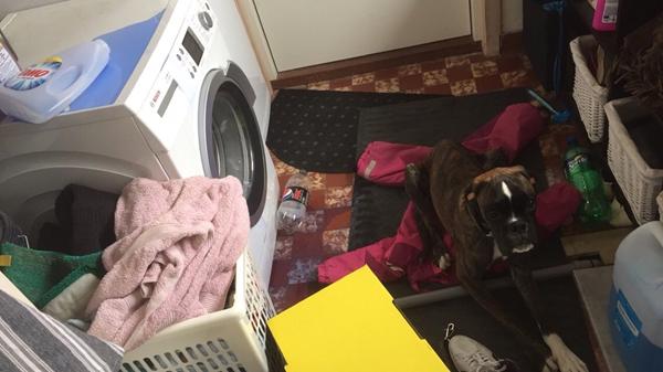 Jeg bliver vækket et par gange om natten.