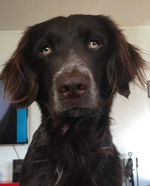 Køresyg, what to do ?