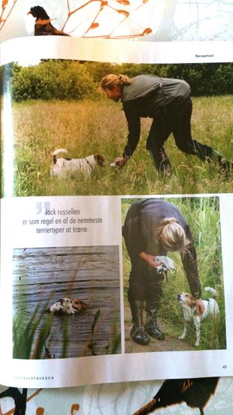 Foreviget i Dansk Litteratur 