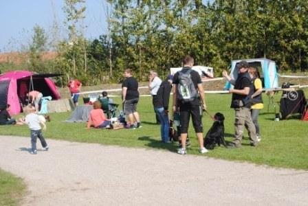 Udstilling for racehunde den 23. august i Korsør