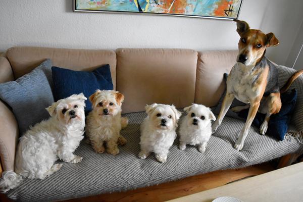 træning - hyggeligt 