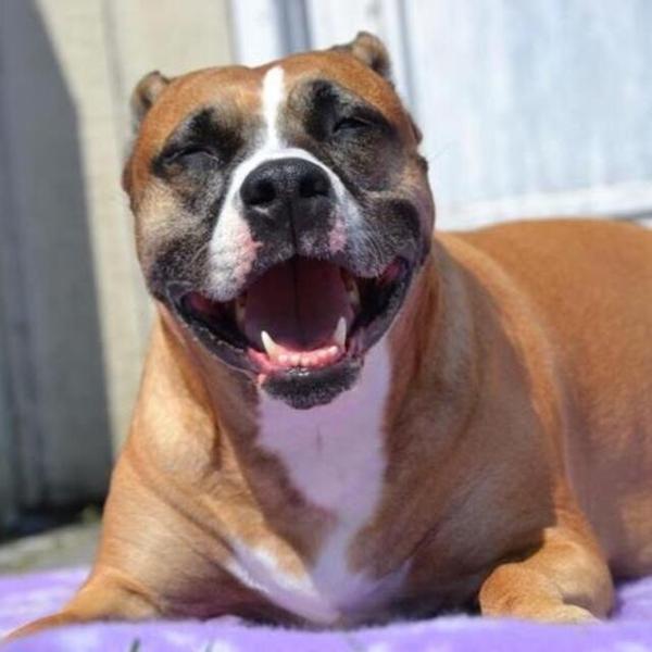 Glukosamin for meget???