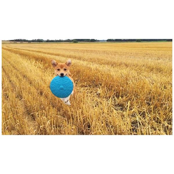 Nu har han skiftet tænder - og ødelægger alt