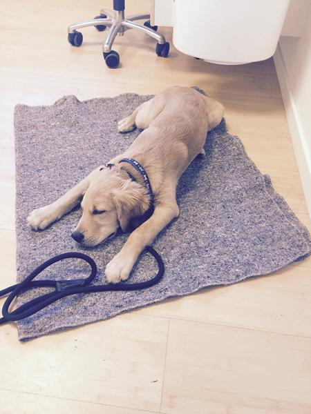 Operation, lille Marco :(