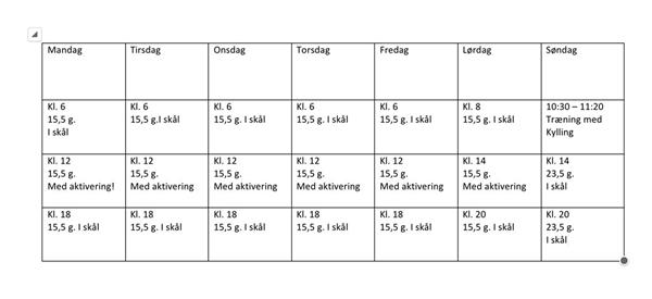 Faste fodrings tidspunkter