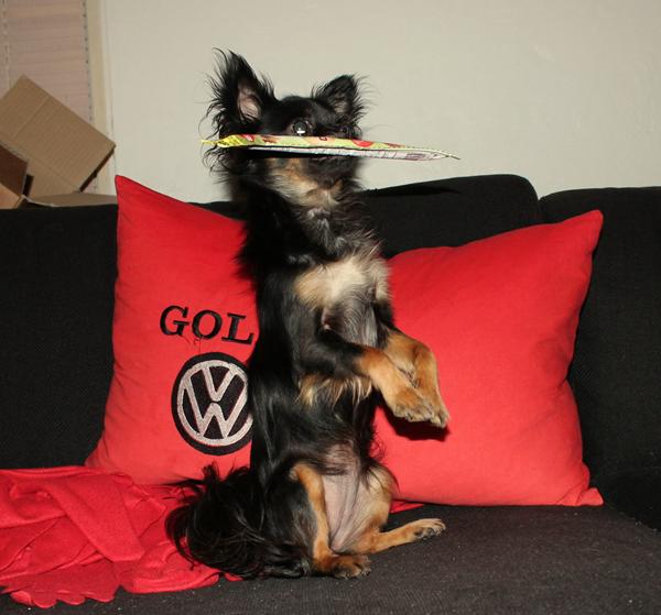 Nyt trick lært i dag (Y) 