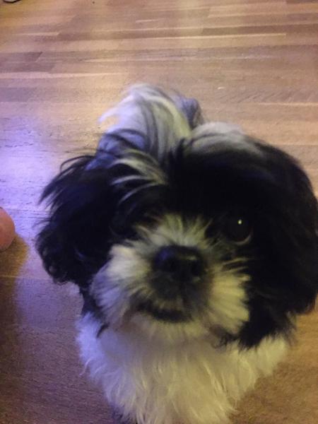 Hvad stiller man op med sådan en størrelse?